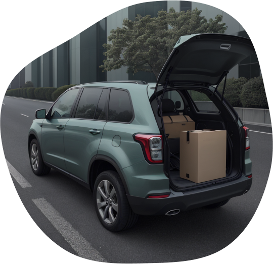 women put grocery to car trunk